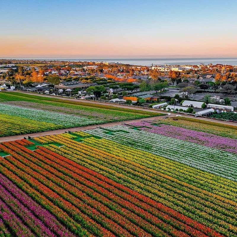 Golf club fitters in Carlsbad