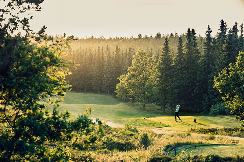 Golf Elevation Calculator